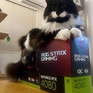 SpaceCat