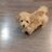 Alex_Teill